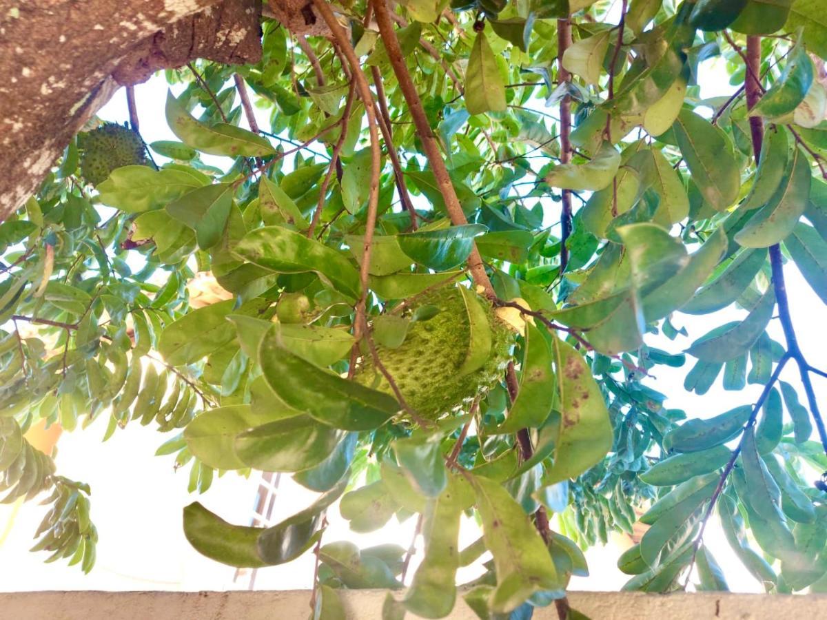 Branca Tropical Brasil Residencial- Taperapuan Villa Порто Сегуро Екстериор снимка