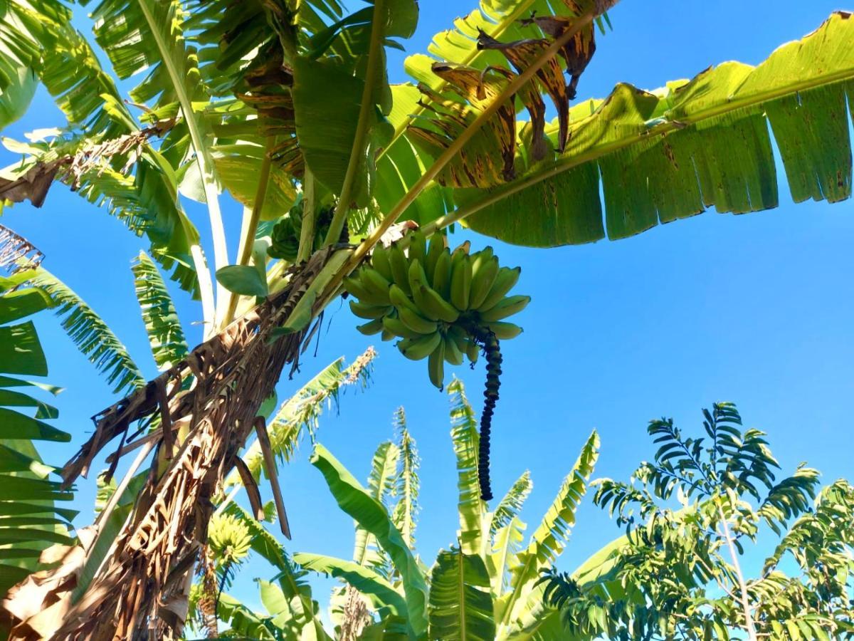 Branca Tropical Brasil Residencial- Taperapuan Villa Порто Сегуро Екстериор снимка
